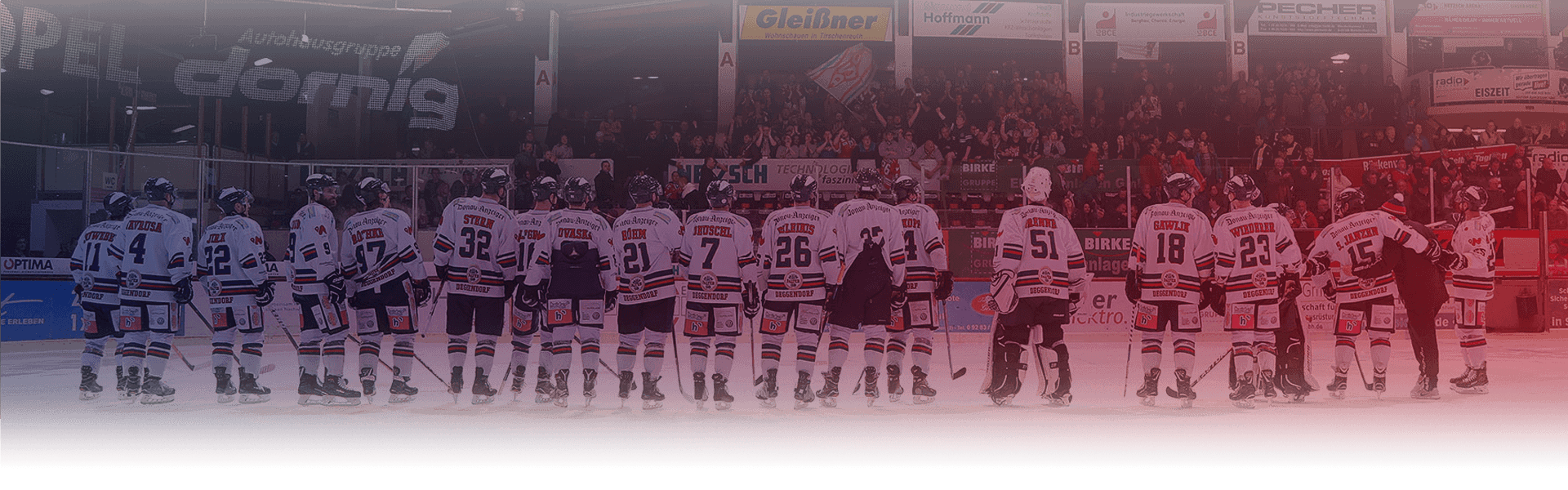 Eishockeymannschaft DSC
